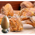 Hot selling Agaricus Blazei Murill Extract